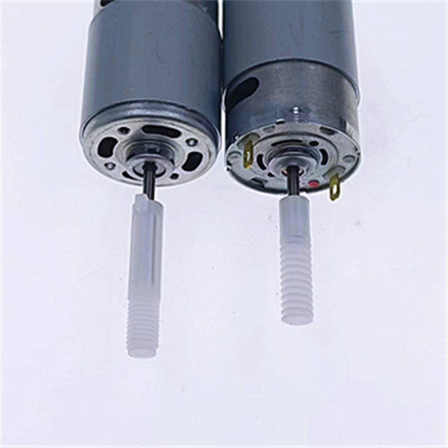 Wholesale Cheap Price Powerful High Torque Dc Motor Double Shaft 42 45Mm 12V 18V 24V 36V Rs-750 755 775 Precision Applications
