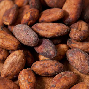 Granos de cacao fermentados y secados al sol para bolsas a granel de sabor mejorado para fabricantes - Product Image 2