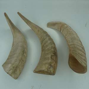 ทำด้วยมือธรรมชาติแกะและแกะฮอร์นตกแต่งชิ้นงานสไตล์สัตว์ขัดเงา - Product Image 2