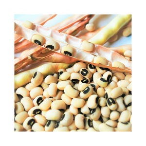 Frijoles de guisantes de Ojos Negros naturales puros de alta calidad Frijoles de Caupí Frijoles de Ojos Negros orgánicos a la venta - Product Image 6