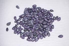 Harina de semillas de algodón de alta calidad para pescado de cerdo caballo disponible para la venta - Product Image 5