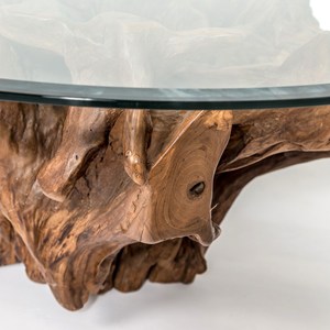 Mesa de Centro Naura Hecha de Madera de Raíz de Teca Sólida con Color Natural y Tapa de Vidrio para Interiores y Exteriores - Product Image 2