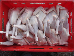 Vente en gros de poulet entier congelé IQF HALAL, désossé, sans peau, faible teneur en sodium, emballé sous vide, nutritif - Product Image 3