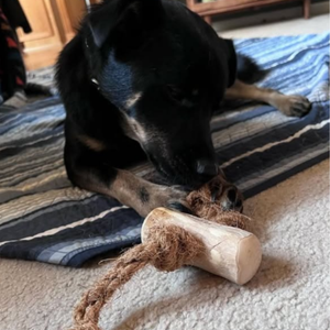 Améliorez le temps de mâchage avec le jouet à mâcher pour chien en bois de café et corde de noix de coco - Product Image 6