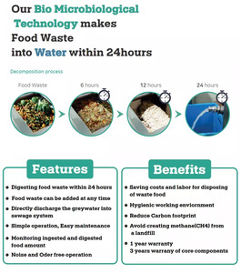 Máquina reciclable de alimentos orgánicos, suministro mundial, capacidad de 100kg/día, Exbio, para compradores globales - Product Image 5
