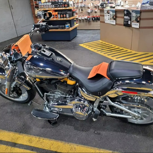 VENTES DE SOLDE POUR 2025HARLEY-DAVIDSON FAT BOY GREY GHOST 2-WHEEL CRUISER MOTO - Product Image 1