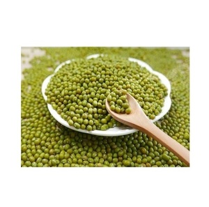 Frijoles Mung |   Frijoles Mung Verdes Orgánicos para Germinar y Cocinar - Product Image 1