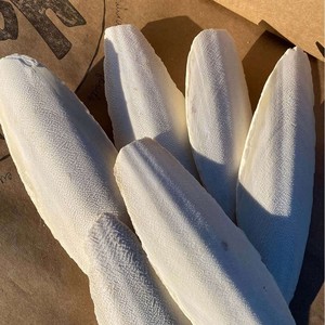 Os de seiche de qualité supérieure meilleur prix os de seiche pour oiseaux du Vietnam prêt à exporter - Product Image 4