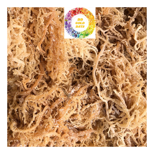 Eucheuma cottonnii สาหร่ายแห้งไอริชมอสทะเลขนาดใหญ่ที่มีคุณภาพสะอาดผลิตภัณฑ์จากธรรมชาติที่เหมาะสำหรับสลัด seamoss - Product Image 5