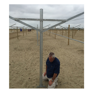 Satılık iyi fiyat tüm aksesuarları ile galvanizli çelik masa üzüm açık <span class=keywords><strong>gable</strong></span> kafes sonrası sistemi - Product Image 1