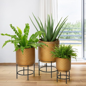 Macetero de metal para jardín, caja de pie para exteriores y soporte multifunción para plantas, caja elevada - Product Image 4