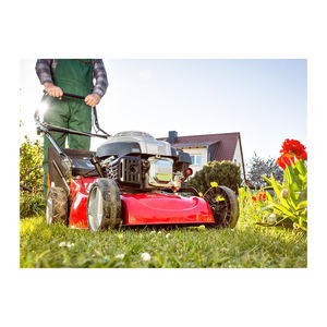 Cortadora de Césped para Manejo a Granel Disponible para Transporte y Envío Seguro - Product Image 6