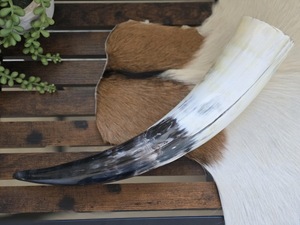 Corne à boire naturelle Viking de haute qualité polie écologique en corne de buffle Design animal - Product Image 5