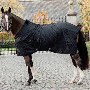 Hoogwaardig Zwaar Winterpaard Kleed Zwart Winddicht Polyester Paardrijdeken Met Mesh Shell - Product Image 6