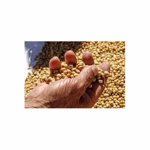 Harina de pescado de la mejor calidad para alimentación animal Aves de Corral CAN/BOX/BAG Empaquetado Alternativa fresca a la harina de soja y la harina de maíz - Product Image 4