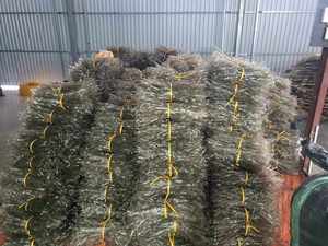 El mejor proveedor Vietnam Arrowroot Vermicelli Noodle/ Vietnam Steamed Vermicelli Roll con alta calidad - Product Image 2