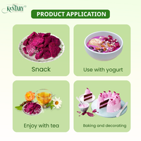 Gevriesdroogd Rood Hart Dragon Fruit Non-Gmo Natuurlijke Knapperige Ananas Brokken Zoete Snacks Voor Bakkerij Toppings-Groothandel Stukken