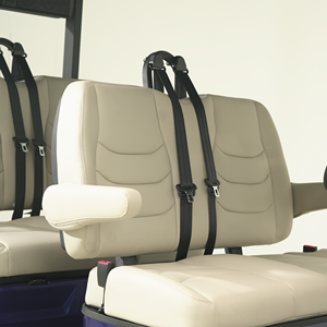Carritos de golf de lujo personalizables de bajo costo con 2, 4, 6 u 8 asientos, suspensión avanzada y almacenamiento adicional para hoteles y comunidades. - Product Image 2