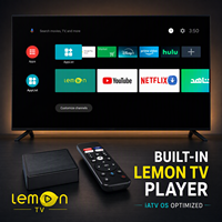 BOXPUT Lemon TV Mini TV Box Allwinner H618 Android 12.0 2G 16G 4K WIFI6 BT5.4 IATV Interfaz de Usuario de Arranque Personalizada 1 unidad MOQ TV CMS OEM ODM Fábrica