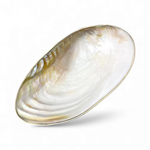 จานเปลือกหอยมุกธรรมชาติสำหรับตกแต่ง ใช้เสิร์ฟของหวาน และโชว์เครื่องประดับ ผลิตในเวียดนาม - Product Image 2