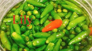 Piments verts en conserve de qualité supérieure, entiers, saveur salée, emballage en fût de 20 kg, durée de conservation de 12 mois, Vietnam / Lily - Product Image 5