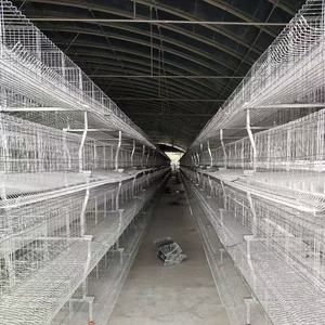 África caliente nuevo eficiente 4 niveles tipo A puesta gallinero jaula Animal batería jaulas precio competitivo hierro acero 1 año - Product Image 5