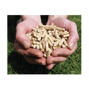 Prix les plus bas pour les granulés de bois en gros, vente en gros de granulés de bois de pin, biomasse, combustible bois, prêts à être expédiés dans le monde entier - Product Image 6