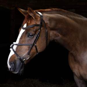 Bride de cheval en cuir véritable Bride de cheval en cuir véritable personnalisée Fabricants vendant une bride de cheval en cuir véritable - Product Image 1