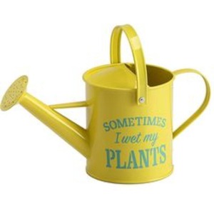 Bidon d'eau métallique pour les amateurs de jardin avec un style artisanal unique, parfait pour l'arrosage des plantes d'intérieur - Product Image 4