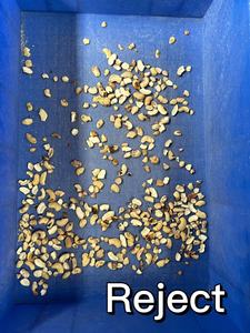 Thông Minh Quang SORTER cho hạt nhân loại bỏ đốm đen và mảnh vỡ - Product Image 6