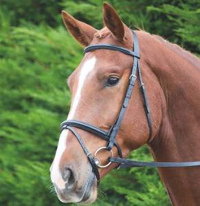 Brida Flash elevada - Product Image 5