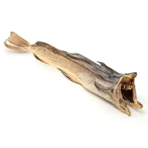 엄니의 Stockfish | 노르웨이 Stockfish (둥근 대구, 길이 50-70cm): 100-lbs 딜러 팩 (40-50 큰 Stockfish, 자르지 않음)