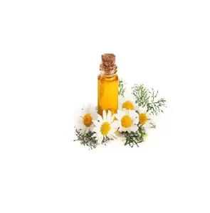 Natural Blue Roman Chamomile Oil Roman Aromatherapy Diffuser Essential Oil at Low Price for Sale
