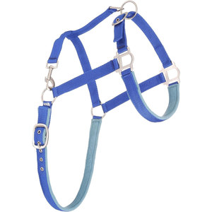 Licol de cheval rembourré en Nylon de qualité supérieure matériel de finition Satin doux collier de tête Durable réglable chevaux formation toilettage - Product Image 3