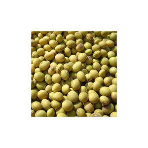 Soja en vrac séché biologique de haute qualité avec OGM et soja sans OGM à vendre - Product Image 3