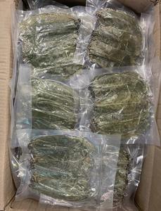 ใบฝรั่งแห้งธรรมชาติ อนโนนา มูริกาต้า สำหรับส่งออก ใบหลวมจำนวนมาก - Product Image 2