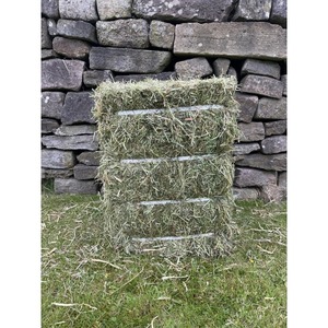 Compre heno de alfalfa verde natural secado al sol con alto contenido nutricional ideal para animales de granja a granel - Product Image 1