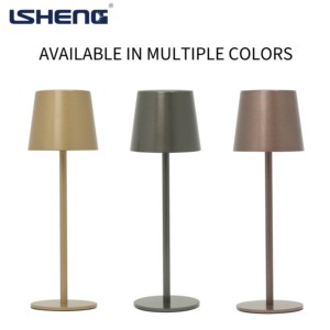 Hiện đại Nordic sắt Led Bàn đèn 3000-6500K điều khiển cảm ứng Type-C Pin thân thiện với môi đơn giản bán buôn - Product Image 2