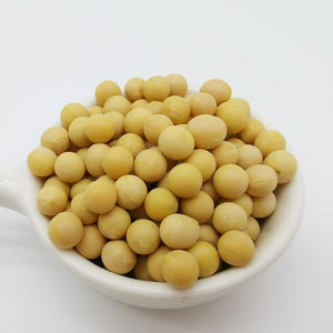 Haute qualité/Meilleur brésilien/Vente en gros de haute qualité Type de culture sans OGM Graine de soja en vrac séchée - Product Image 2