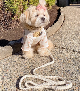 Handmade Dog <b>Leash</b>, Wedding <b>Leash</b>, Soft Dog <b>Leash</b> Colored Cotton Rope Handmade Dog <b>Leash</b> <b>Pet</b> <b>Leash</b> Set - Product Image 2