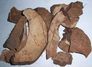 เปลือกมะพร้าวดิบทนทานเป็นมิตรต่อสิ่งแวดล้อมวัสดุสำหรับโรงงานผลิตถ่านการประชุมเชิงปฏิบัติการและผู้ซื้อต่างประเทศ - Product Image 5