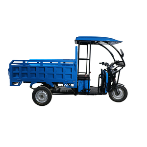 2025 QSD alta capacidad de carga 3 ruedas carro eléctrico cargador al por mayor 2000W Auto <span class=keywords><strong>Riksha</strong></span> abierto carga eléctrica Rickshaw para mercancías - Product Image 2