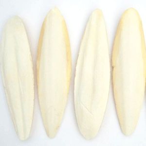 Offre Spéciale os de seiche du Vietnam de haute qualité au meilleur prix pour les grossistes os de calmar - Product Image 3