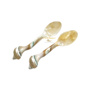 Cuchara de Concha Natural Estilo Orgánico para Servir Café y Té - Product Image 1