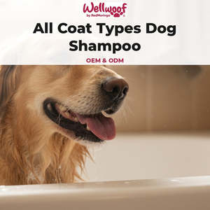 Shampoo per Cani per Tutti i Tipi di Pelo 200 mL OEM PL Italia RedMoringa Prodotto per la Toelettatura degli Animali - Product Image 2