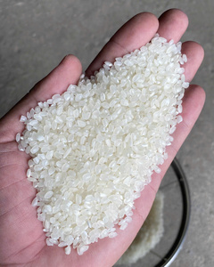 Vilaconic ST25 basmati Japonica ข้าวเนื้อหนังแข็งแห้งดีที่สุดในโลกยาวส่งตรงจากเวียดนาม Calrose/ปานกลาง - Product Image 2