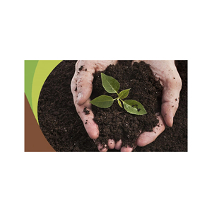 Tourbe disponible à prix de gros réduit pour l'agriculture et l'aménagement paysager - Product Image 2