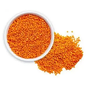 Lentil hijau lentil merah kering jumlah besar