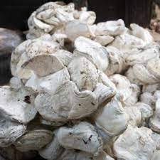 GRUOS DE GOMA NATURAL DE ALTA CALIDAD CON 62-72% DRC/Bulto de taza de goma de mejor grado - Product Image 3