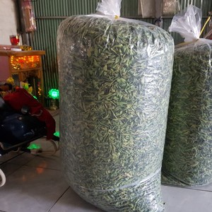 Hot selling Lime leaf bulk export <b>ingredient</b> from Vietnam factory supporting large scale <b>food</b> processing & international trade - Product Image 6